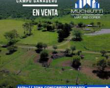 Venta 460has Zona Federal