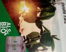 Mapliquid Fosforo Liquido Arrancador