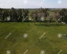 Campo en Venta de 200 Has en Chascomus