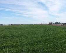 Campo de 210 Has en Venta Riego y Mejoras