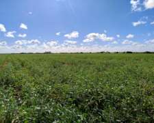 Vendo 82 Has en Zona Pueblo Cazes Villa Elisa ER