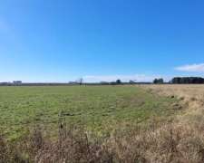 2 Campos de 24 Hectáreas C/U