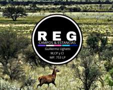 4000 Hectáreas en Hucal, LP