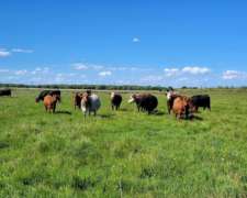 En Venta Campo Mixto de 121 Has en Ingenio Moneta San Pedro