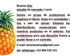 Piña Para La Venta