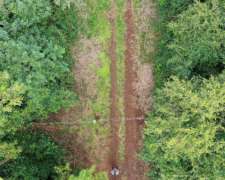 Se Vende 306 Ha con Monte. Misiones. Barato.