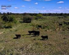 2000 Ha Campo Ganadero en Lahisi-formosa