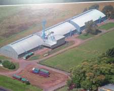 Alquilo Celdas de Acopio Cereal