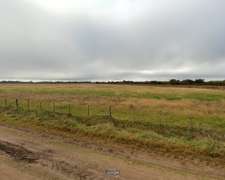 Campo 106 HC. Sobre Ruta 210 en Brandsen (74 HC. Virgen)