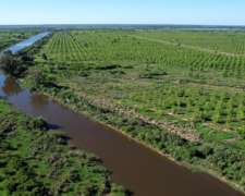 Villa Paranacito, Islas Del Ibicuy, Entre Ríos - 7 Ha