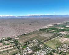 Pcia. de San Juan - Tamberias 60 Has