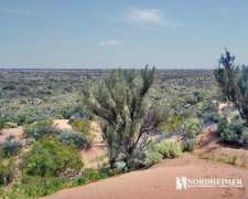 Villa Santa Rosa, 25 de Mayo, San Juan - 6.980 Ha