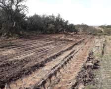 Desmontes, Raleos, Picadas, Conservacion De Caminos
