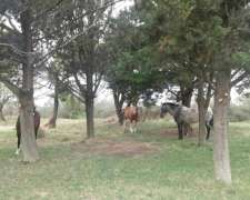 Inmobiliaria Pousa Pousa Vende