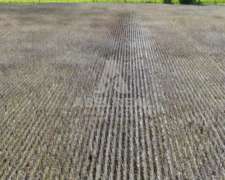 30 Ha Bermúdez Prov. de Buenos Aires