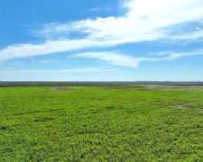 Vendo 300 Has Mixtas en Curapaligue, Próximo a Laboulaye