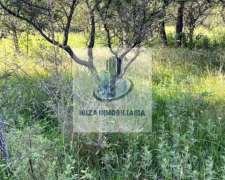 Oportunidad por Tiempo Limitado: Campo Listo para Trabajar