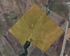 311 Ha Mixtas en Bahia Blanca