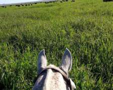 671 Ha Campo Ganadero Costa. Dpto Victoria
