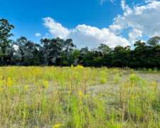 Mercedes, Buenos Aires - 14,5 Ha