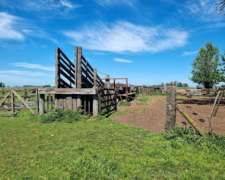 Se Vende Excelente Campo Ganadero