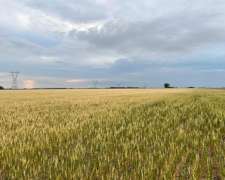 120 Has 100 % Agrícolas sin Desperdicios