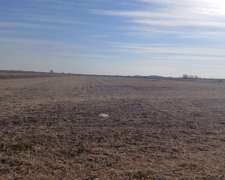 107 Ha Agrícolas. muy Buen Campo. Nogoyá