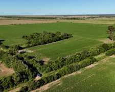 Venta Campo 162 Hectáreas Agrícolas. Coronda, Santa FE.