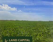 608 HA, Mixto, Azul
