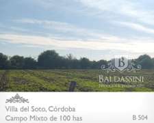 Campo Mixto - Villa del Soto - Córdoba - 100 Has
