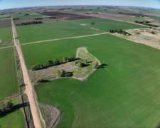 Tres Arroyos, Buenos Aires - 120 Ha