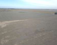 Venta 160 Has Agrícolas