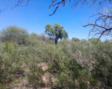 1800 Hectareas en Depto Minas