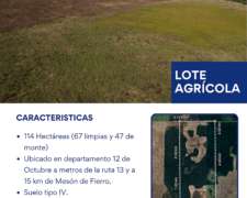 Lote - Campo de 114 Hectáreas en Zona Pinedo Chaco