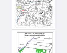 Campo Ganadero Forestal en Gdor Virasoro
