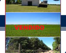 En Venta 2.615 Has. Caleufu, la Pampa -