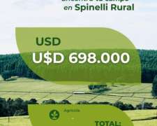 100has Sobre Ruta 14 Concordia.