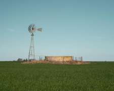 Venta Campo/establecimiento Río Negro, Límite Con La Pampa