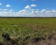 Campo Mixto. 154 HA. SA Pereira, Santa FE.