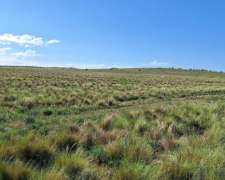 Venta 690 Has Tornquist