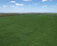 100 Has Agricolas Colonia Raquel/santa FE