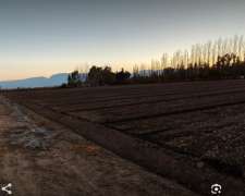 Finca Lista para Trabajar.