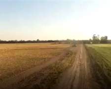 Corzuela, General Belgrano, Chaco - 500 Ha