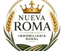 Campo Agricola en Bell Ville