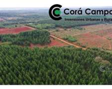 Chacra En Venta - 25 Hectáreas. Gdor, Roca.