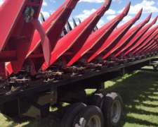 Maicero Franco Fabril. año 2024. 14 a 52 cm