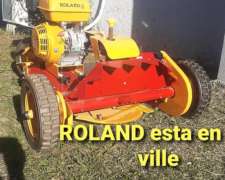 Toda la Linea de Corta Cesped Roland
