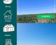 Campo en Loberia 796 Has
