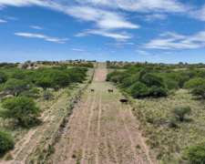 Pcia. de la Pampa - Telen 3650 Has