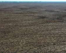 Venta Campo Agricola a Tranquera Cerrada (hacienda Bradford)